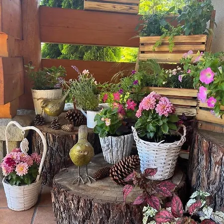 Oda ve Kahvaltı Lesny Dworek Zakopane