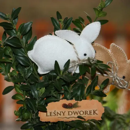 Lesny Dworek Couette-café Zakopane