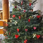 Lesny Dworek Zakopane