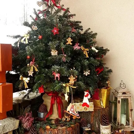 Lesny Dworek 3* ザコパネ