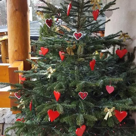 Lesny Dworek Zakopane