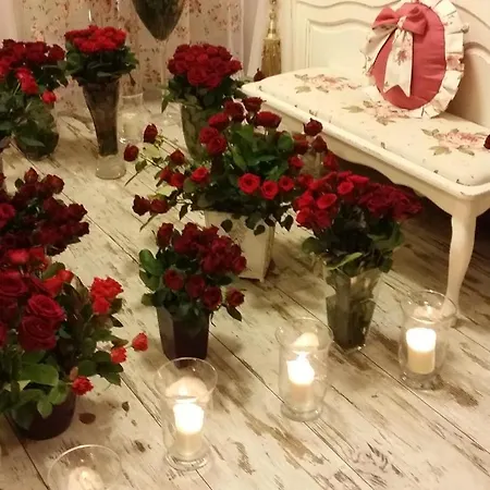 Leśny Dworek 3*