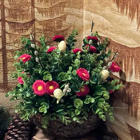 Lesny Dworek Alojamento de Acomodação e Pequeno-almoço