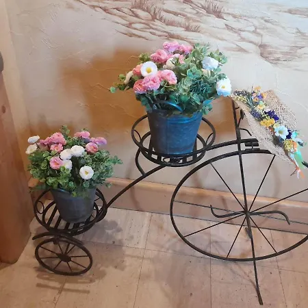 Bed & Breakfast Lesny Dworek