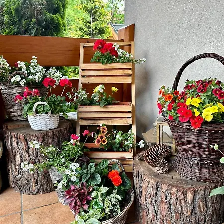 Bed & Breakfast Lesny Dworek