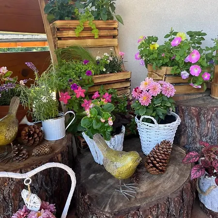 Alojamento de Acomodação e Pequeno-almoço Lesny Dworek