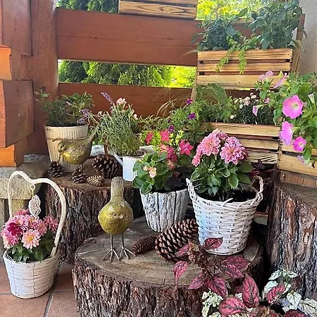Bed & Breakfast Lesny Dworek