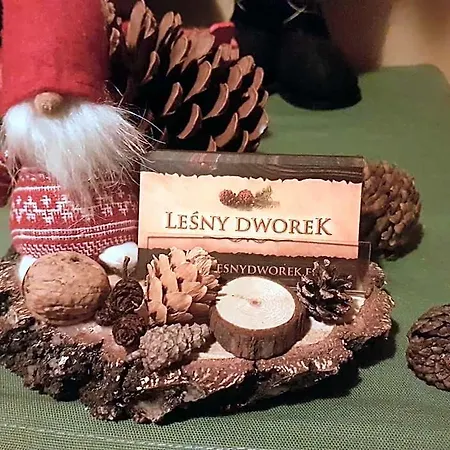住宿加早餐酒店 Lesny Dworek 扎科帕内