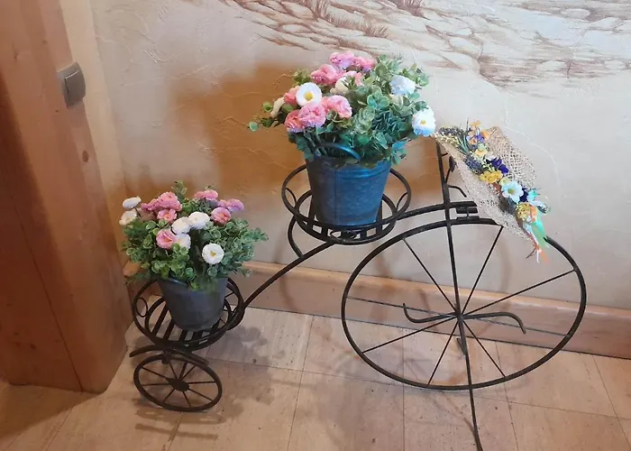 Bed & Breakfast Lesny Dworek