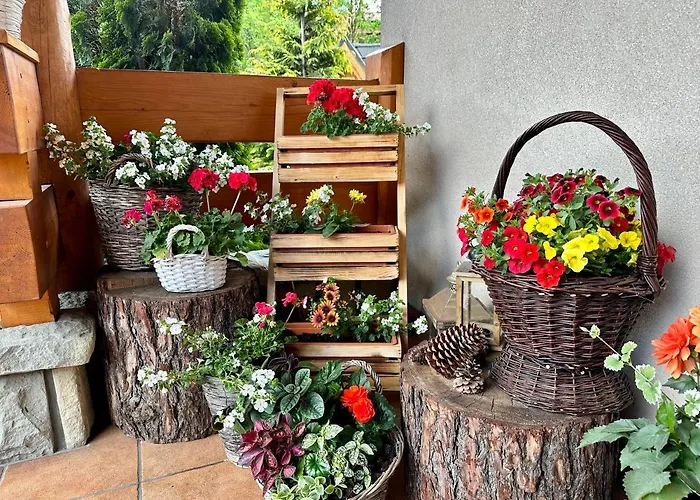 Bed & Breakfast Lesny Dworek