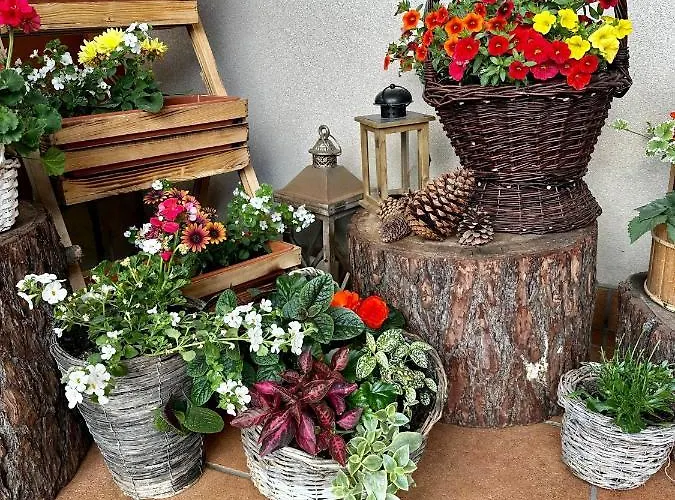 Lesny Dworek Bed & Breakfast 3*