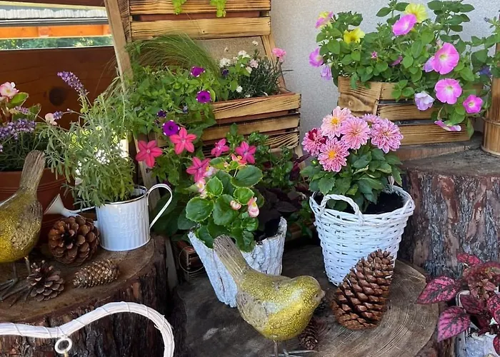 Bed & Breakfast Lesny Dworek