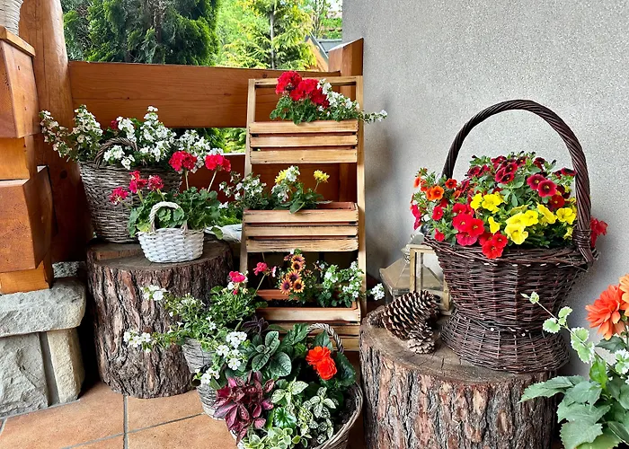 Lesny Dworek 3* Zakopane